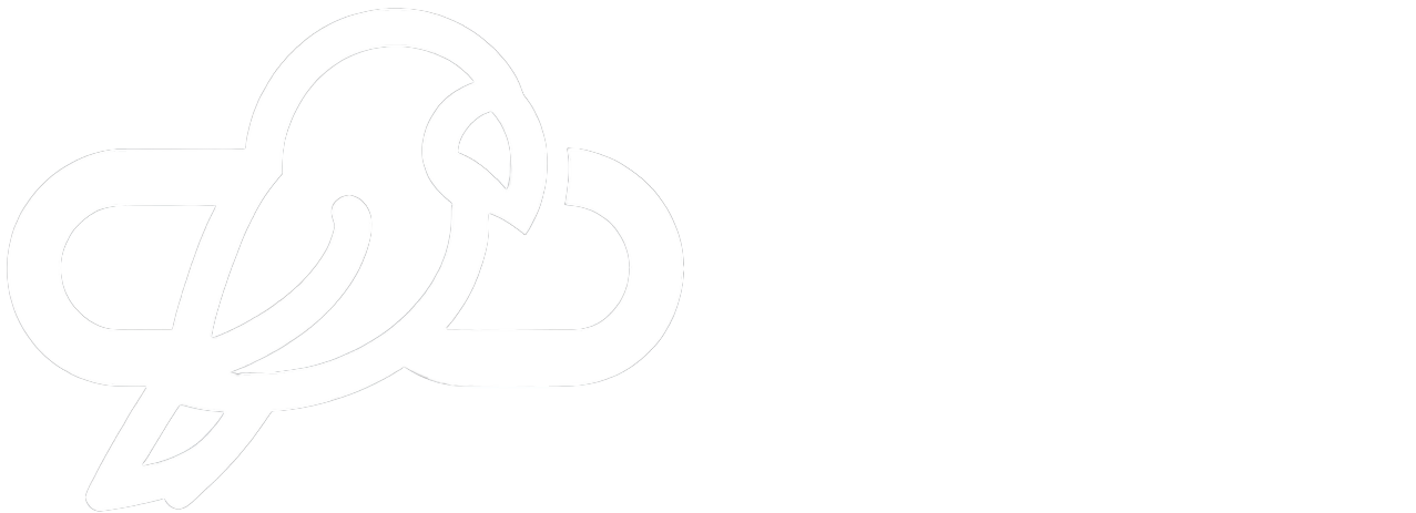 pairit logo white with text